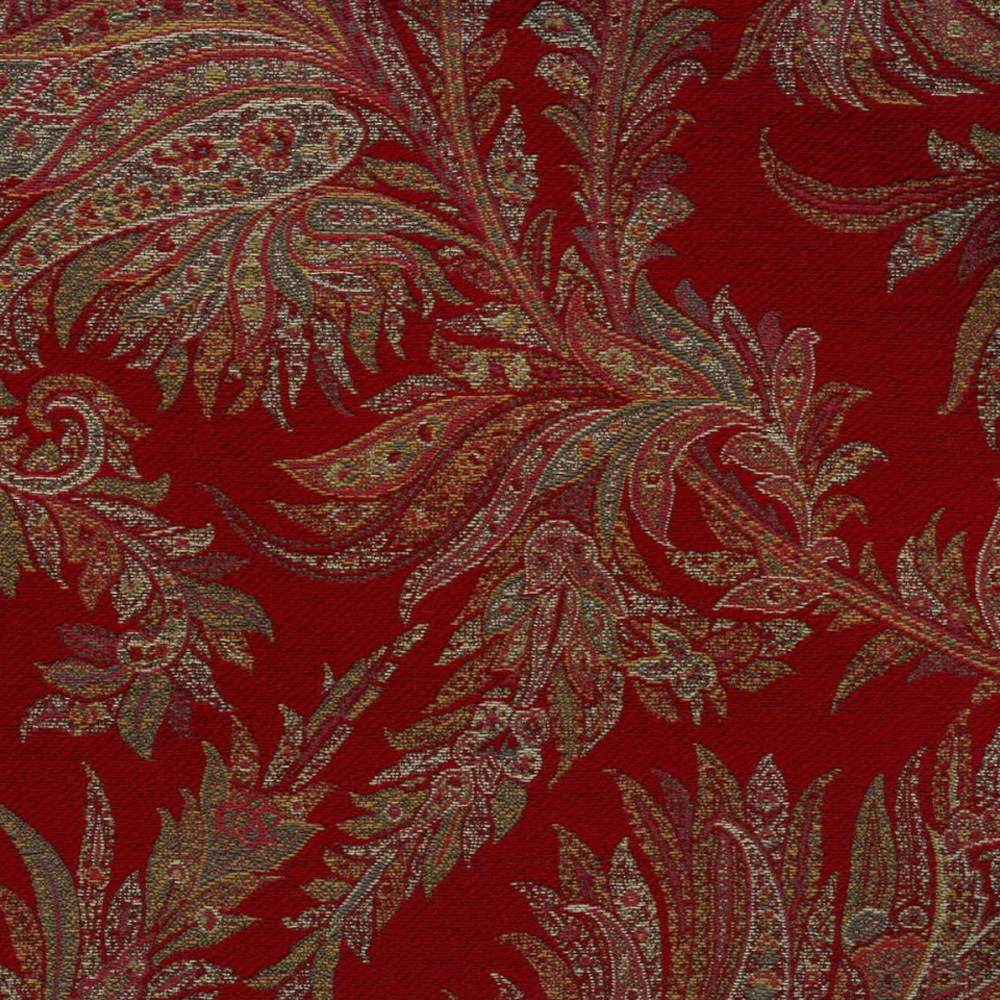 Color_Picture_Achillea-Porpora_1